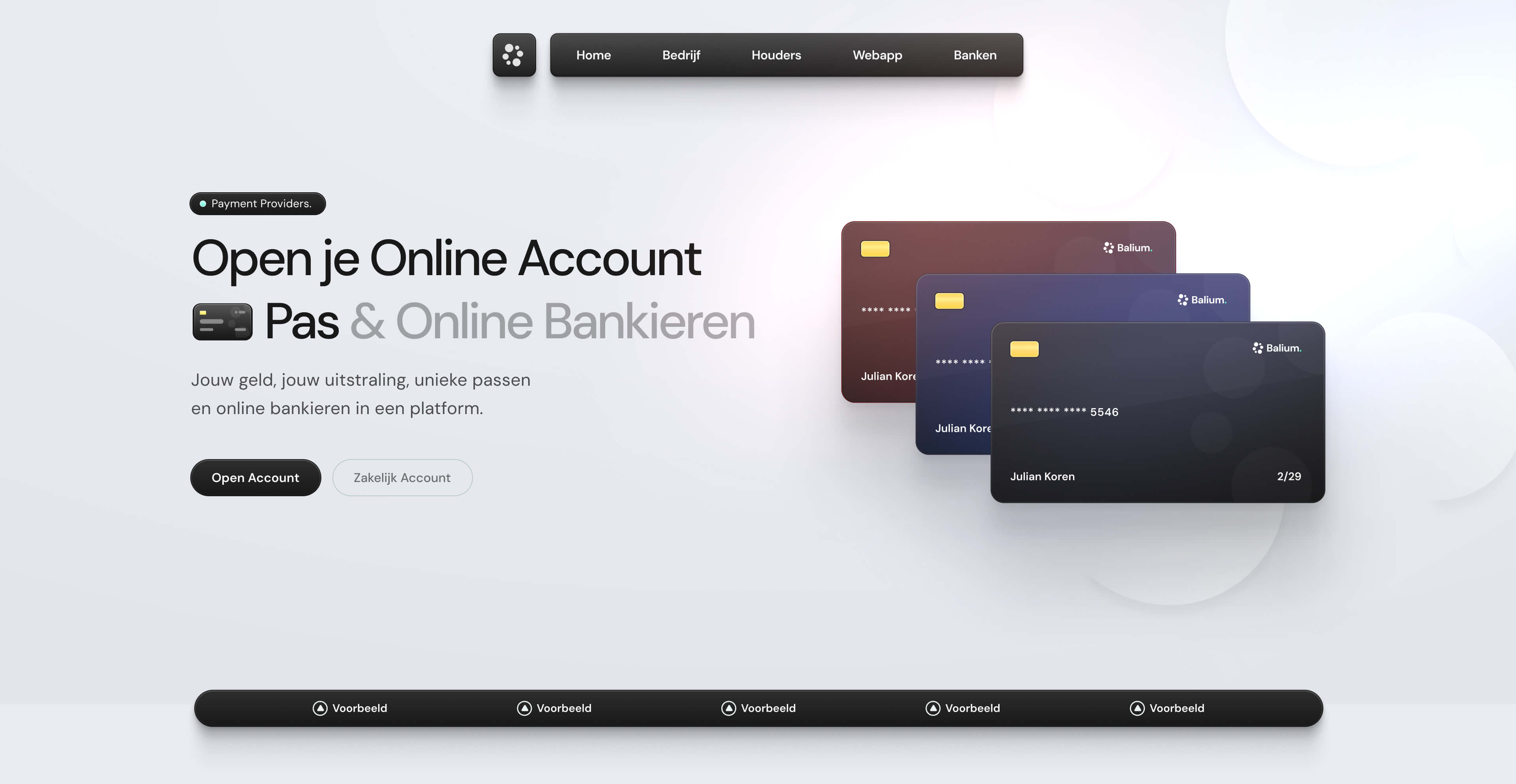 Balium home page screenshot 1