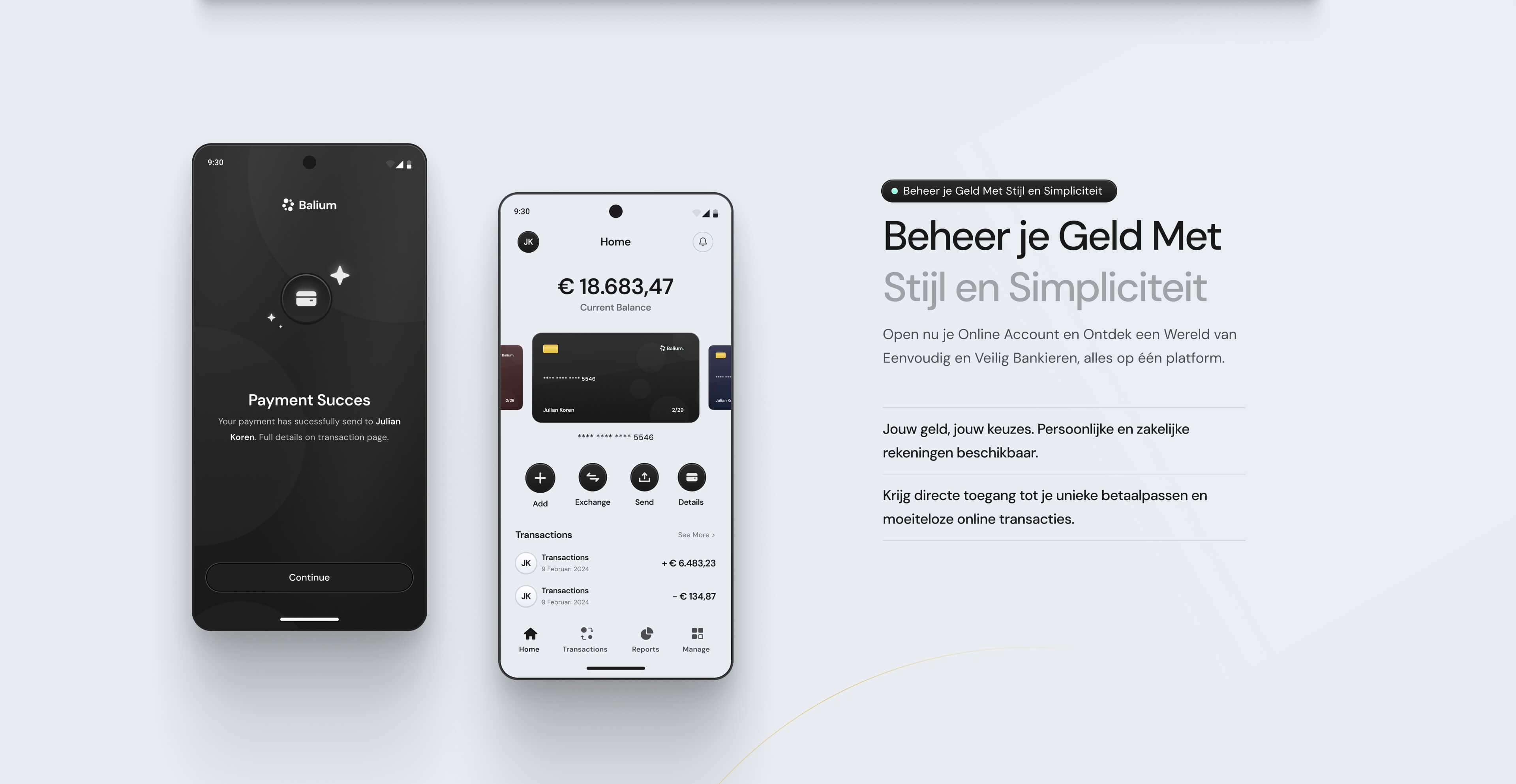 Balium home page screenshot 2