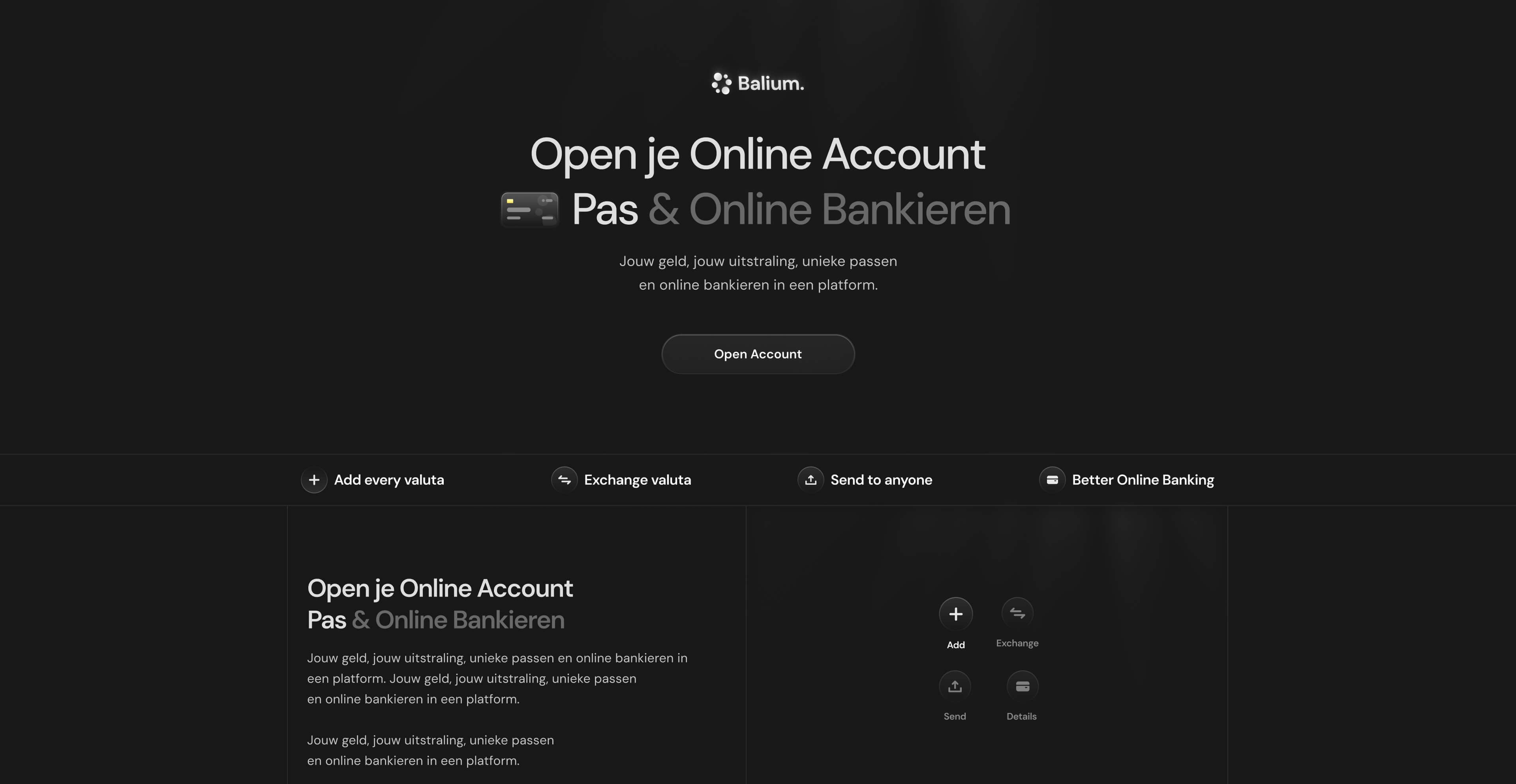 Balium home page screenshot 4