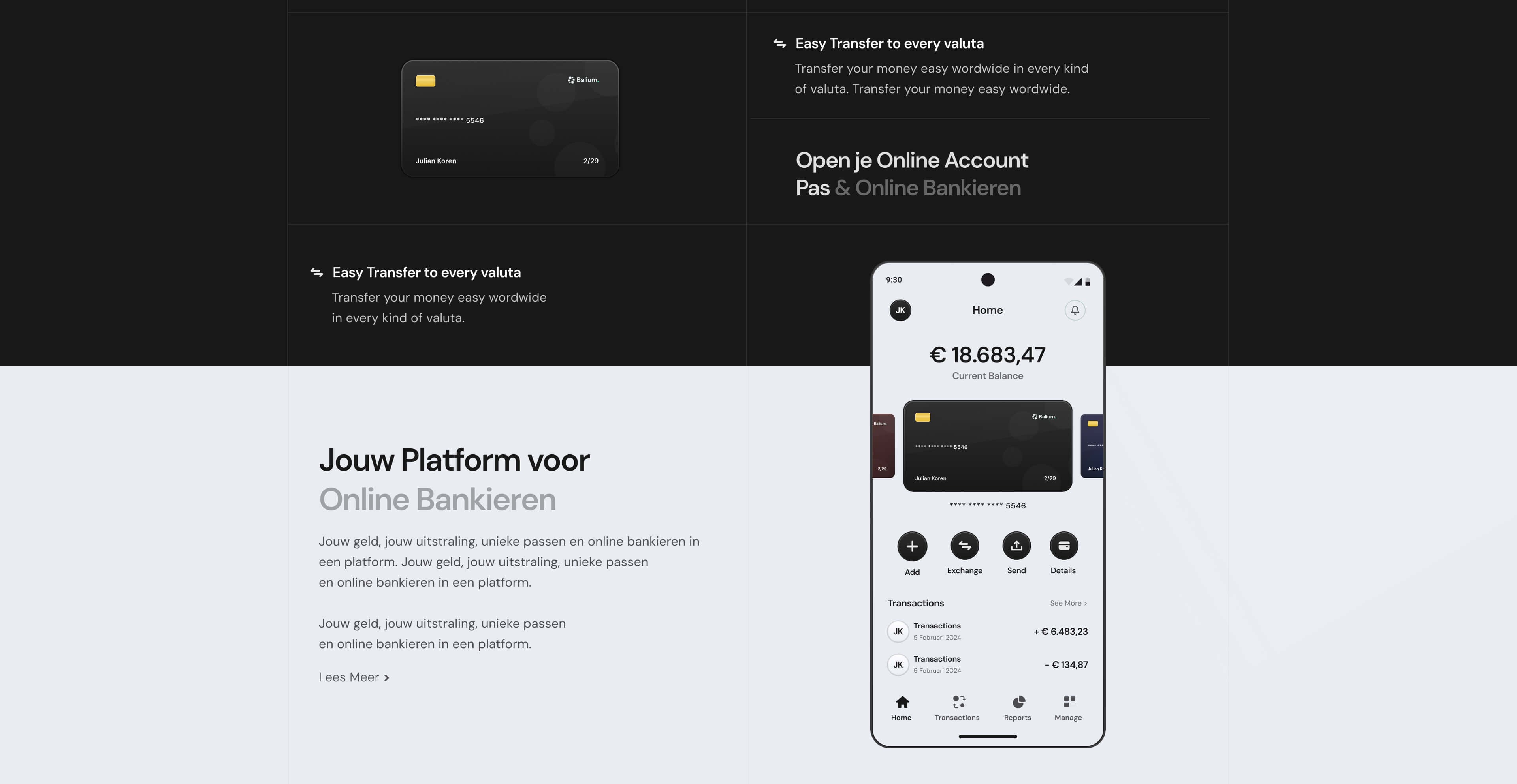 Balium home page screenshot 5